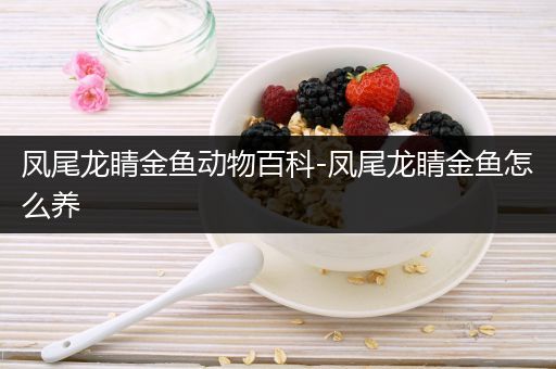 凤尾龙睛金鱼动物百科-凤尾龙睛金鱼怎么养