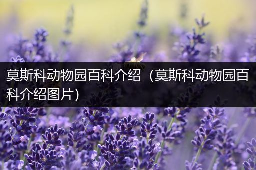 莫斯科动物园百科介绍（莫斯科动物园百科介绍图片）