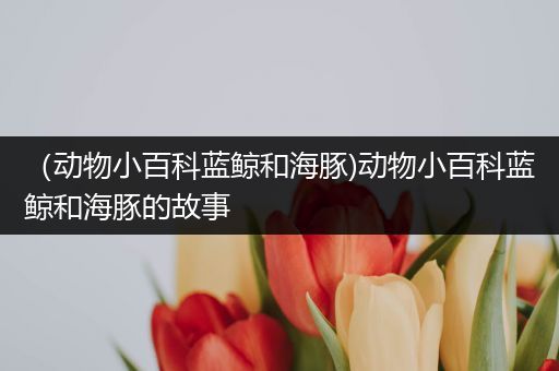 （动物小百科蓝鲸和海豚)动物小百科蓝鲸和海豚的故事