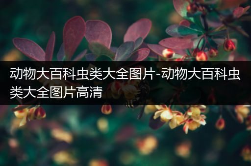 动物大百科虫类大全图片-动物大百科虫类大全图片高清