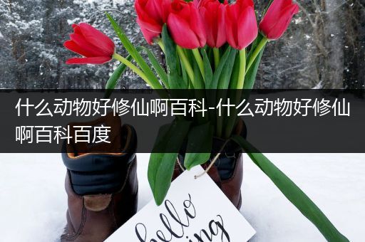 什么动物好修仙啊百科-什么动物好修仙啊百科百度