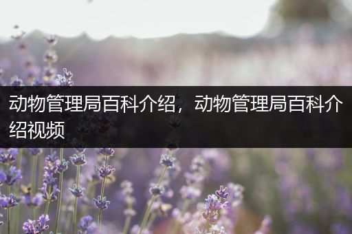 动物管理局百科介绍，动物管理局百科介绍视频