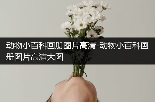 动物小百科画册图片高清-动物小百科画册图片高清大图
