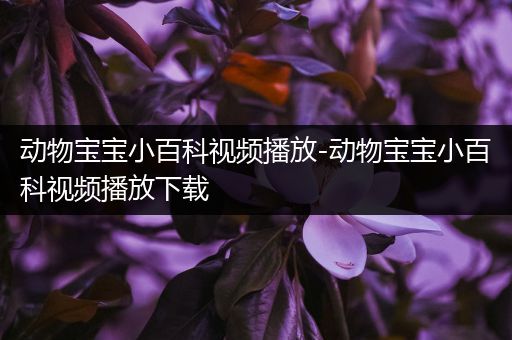 动物宝宝小百科视频播放-动物宝宝小百科视频播放下载