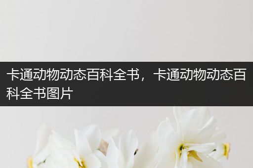卡通动物动态百科全书，卡通动物动态百科全书图片