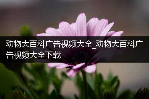 动物大百科广告视频大全_动物大百科广告视频大全下载