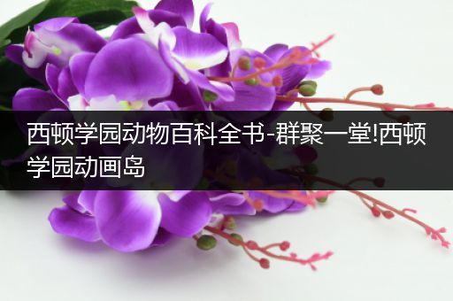 西顿学园动物百科全书-群聚一堂!西顿学园动画岛