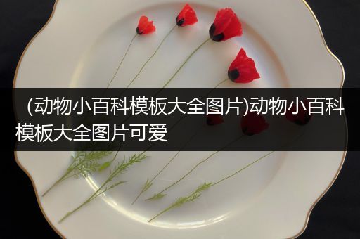 （动物小百科模板大全图片)动物小百科模板大全图片可爱