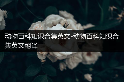 动物百科知识合集英文-动物百科知识合集英文翻译