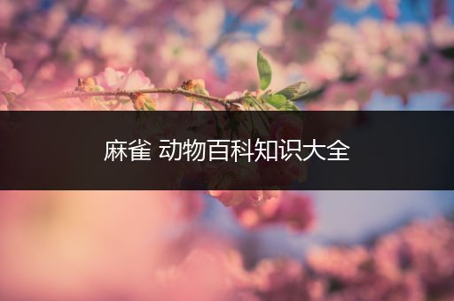 麻雀 动物百科知识大全