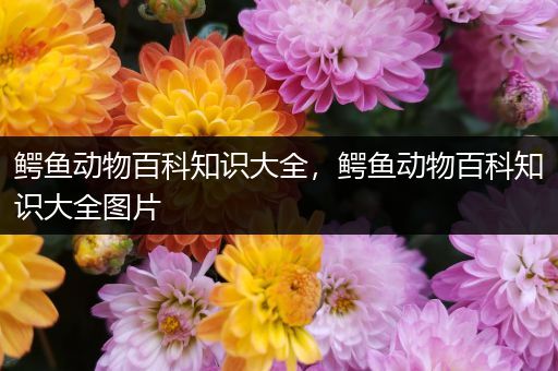 鳄鱼动物百科知识大全，鳄鱼动物百科知识大全图片