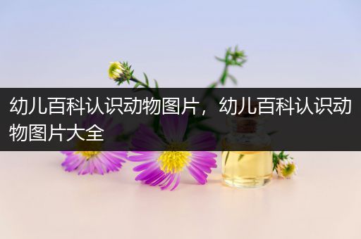 幼儿百科认识动物图片，幼儿百科认识动物图片大全