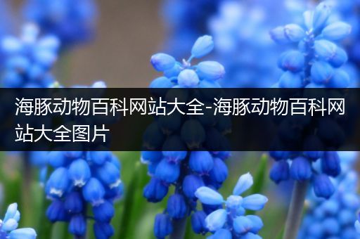 海豚动物百科网站大全-海豚动物百科网站大全图片