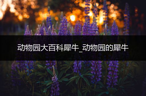 动物园大百科犀牛_动物园的犀牛