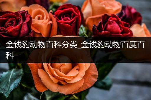 金钱豹动物百科分类_金钱豹动物百度百科