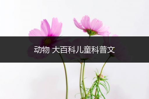 动物 大百科儿童科普文