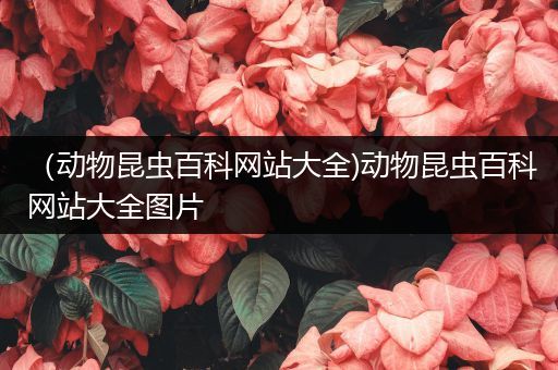 （动物昆虫百科网站大全)动物昆虫百科网站大全图片