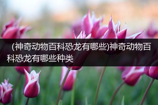 （神奇动物百科恐龙有哪些)神奇动物百科恐龙有哪些种类