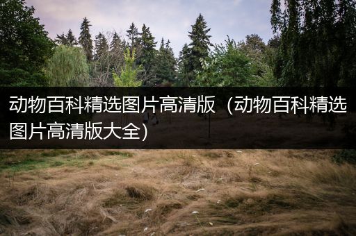 动物百科精选图片高清版（动物百科精选图片高清版大全）