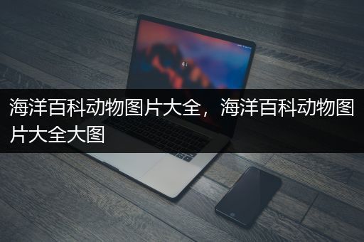 海洋百科动物图片大全，海洋百科动物图片大全大图