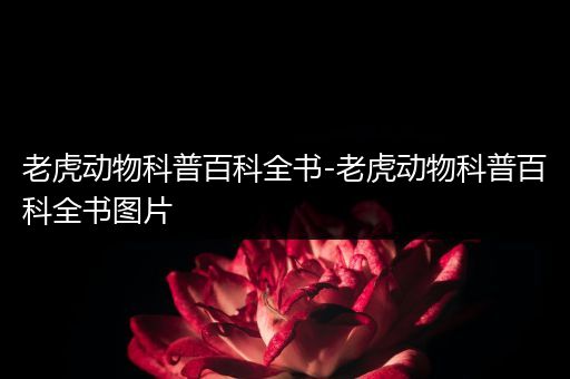 老虎动物科普百科全书-老虎动物科普百科全书图片