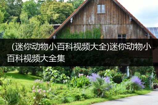 （迷你动物小百科视频大全)迷你动物小百科视频大全集
