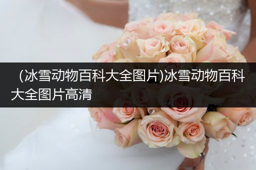 （冰雪动物百科大全图片)冰雪动物百科大全图片高清