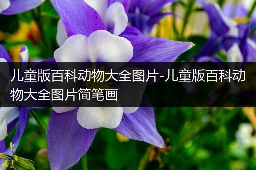 儿童版百科动物大全图片-儿童版百科动物大全图片简笔画
