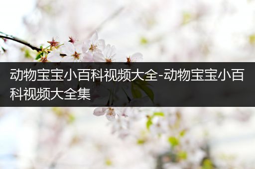 动物宝宝小百科视频大全-动物宝宝小百科视频大全集