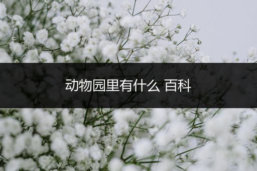 动物园里有什么 百科