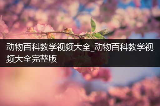 动物百科教学视频大全_动物百科教学视频大全完整版