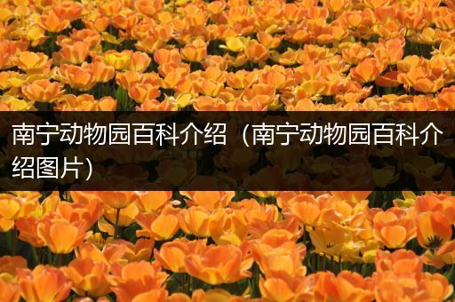 南宁动物园百科介绍（南宁动物园百科介绍图片）
