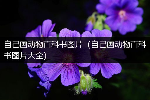 自己画动物百科书图片（自己画动物百科书图片大全）