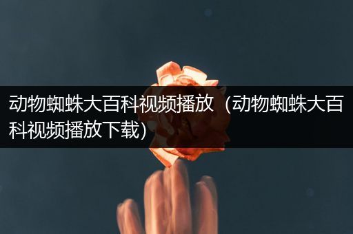 动物蜘蛛大百科视频播放（动物蜘蛛大百科视频播放下载）