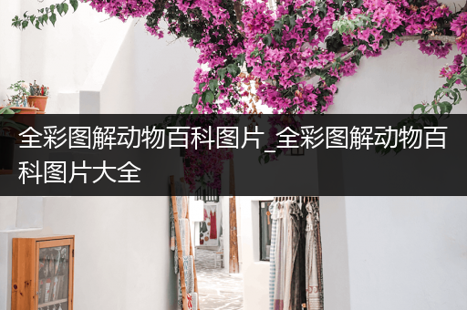 全彩图解动物百科图片_全彩图解动物百科图片大全