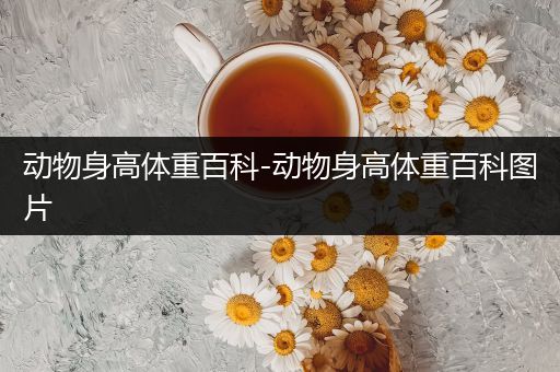 动物身高体重百科-动物身高体重百科图片
