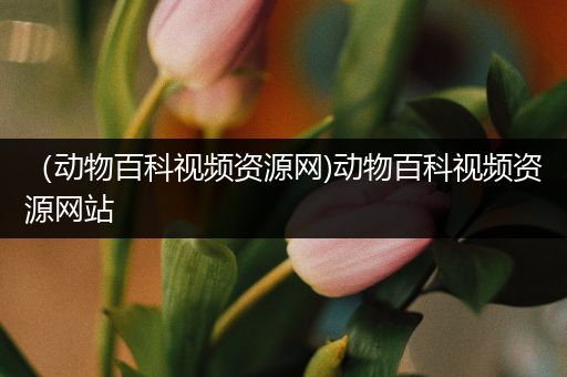 （动物百科视频资源网)动物百科视频资源网站