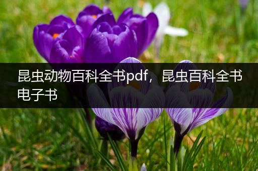 昆虫动物百科全书pdf，昆虫百科全书电子书