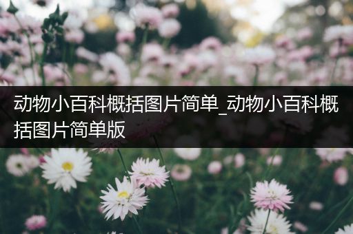 动物小百科概括图片简单_动物小百科概括图片简单版