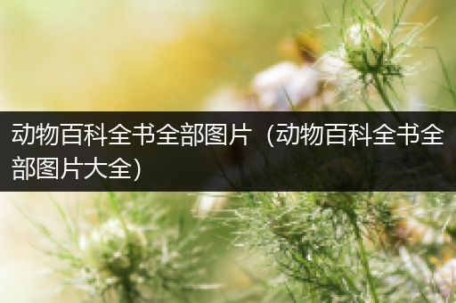 动物百科全书全部图片（动物百科全书全部图片大全）