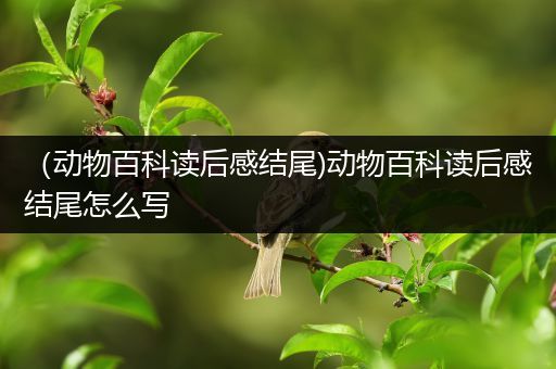 （动物百科读后感结尾)动物百科读后感结尾怎么写