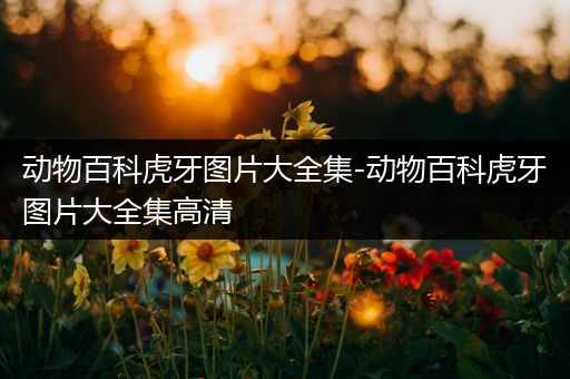 动物百科虎牙图片大全集-动物百科虎牙图片大全集高清