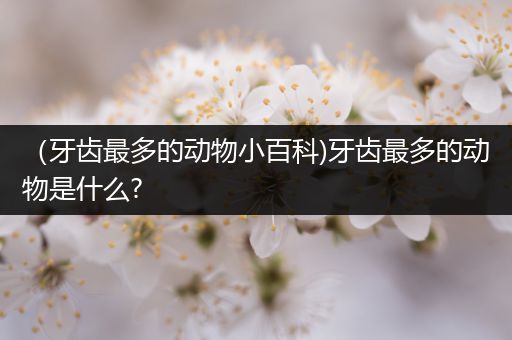 （牙齿最多的动物小百科)牙齿最多的动物是什么?