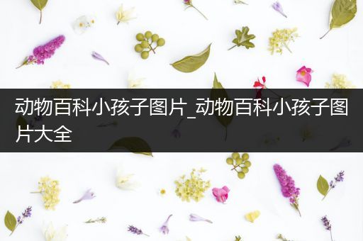 动物百科小孩子图片_动物百科小孩子图片大全