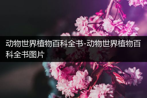 动物世界植物百科全书-动物世界植物百科全书图片