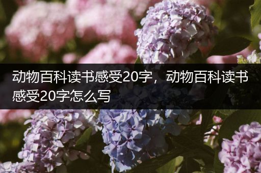 动物百科读书感受20字，动物百科读书感受20字怎么写