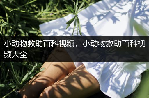 小动物救助百科视频，小动物救助百科视频大全