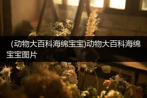 （动物大百科海绵宝宝)动物大百科海绵宝宝图片