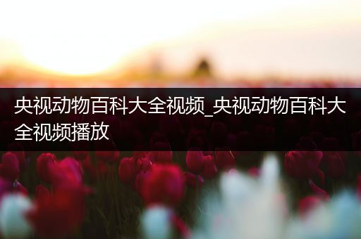 央视动物百科大全视频_央视动物百科大全视频播放