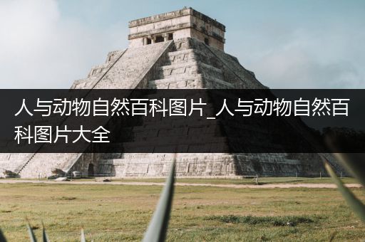人与动物自然百科图片_人与动物自然百科图片大全